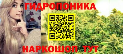 гашик Коломна